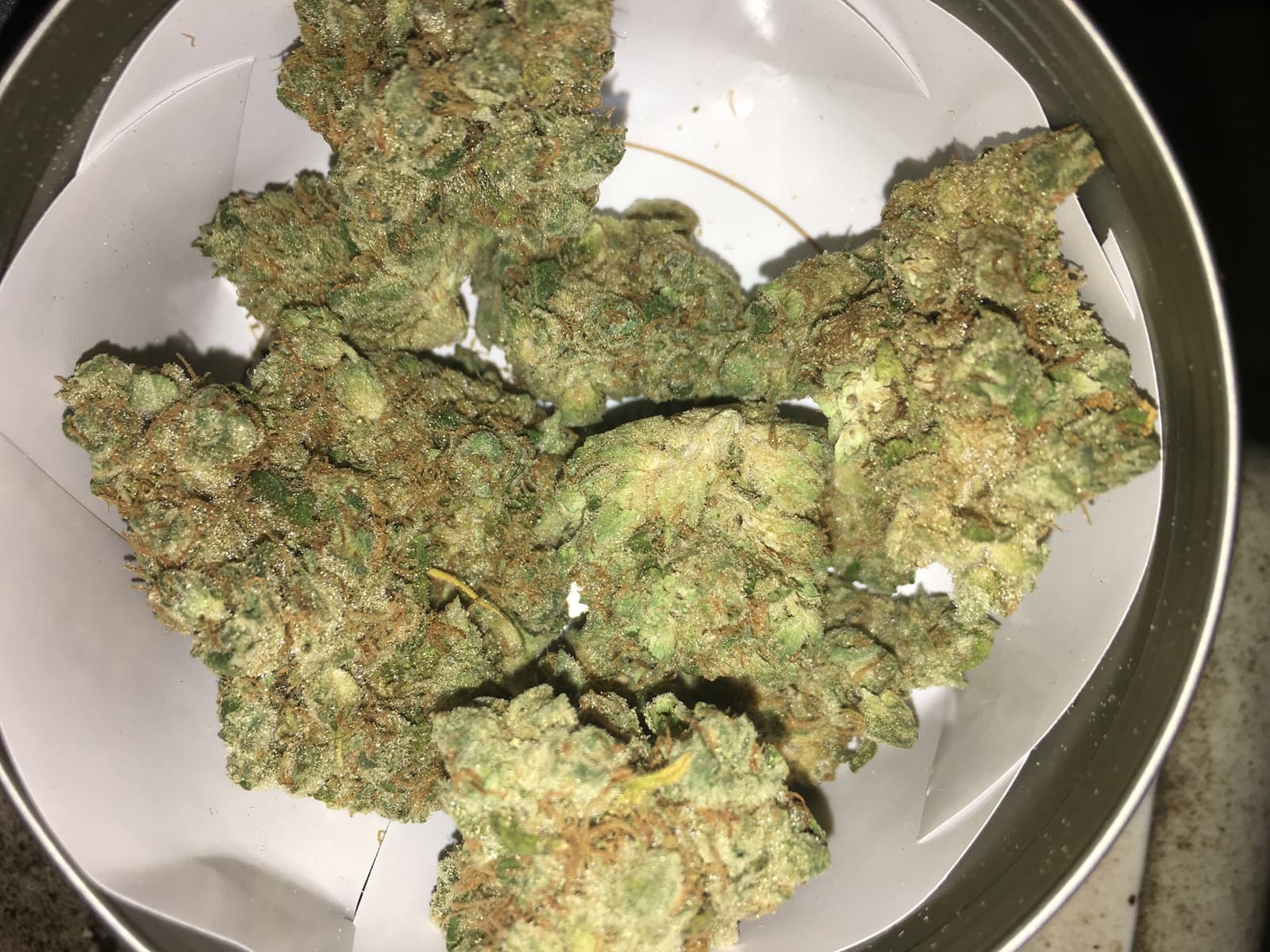 Miami runtz strain Popularity in Miami’s Cannabis Scene