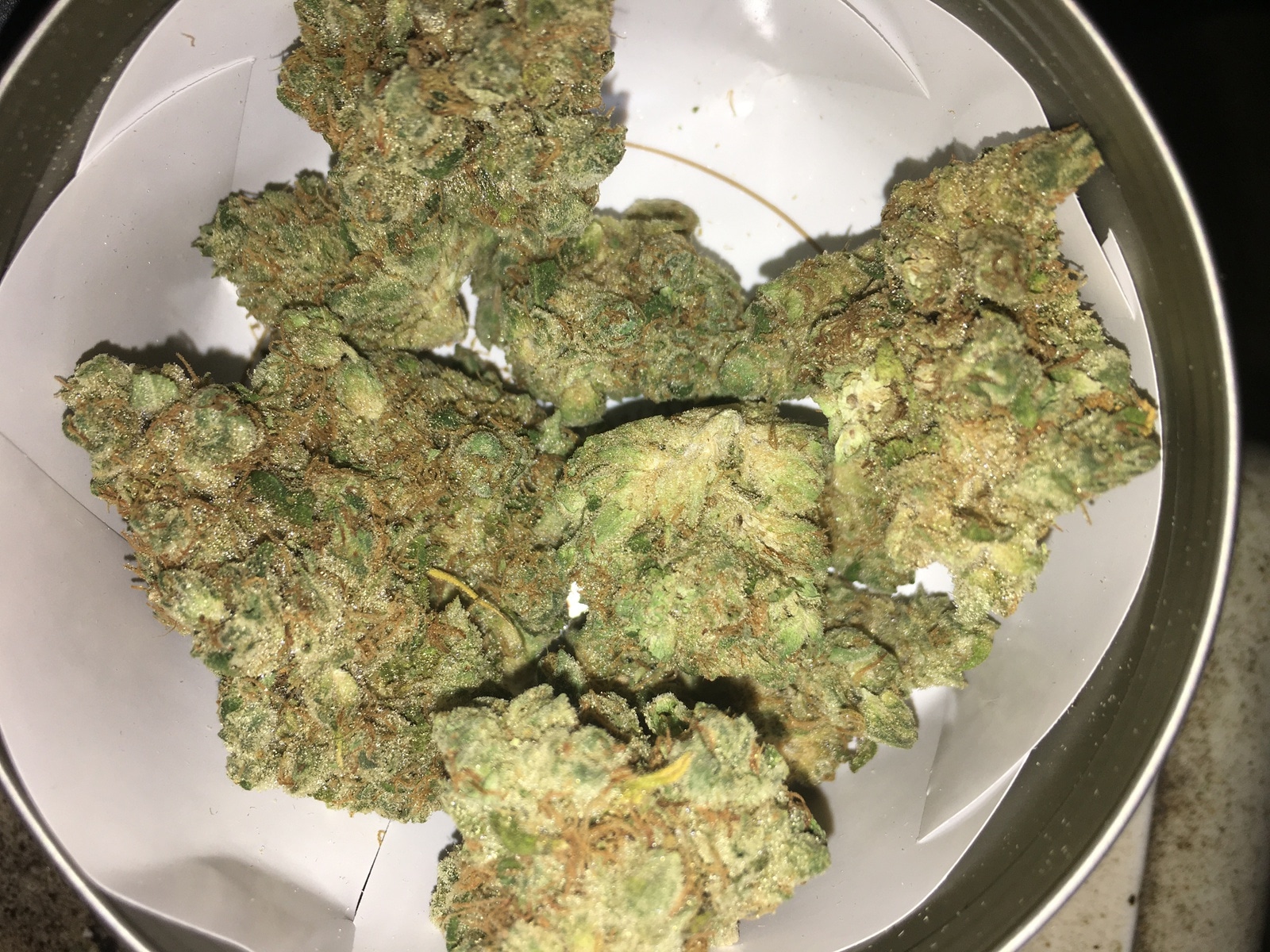 Miami runtz strain Popularity in Miami’s Cannabis Scene
