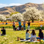 Visitors enjoying the vibrant floral beauty at https://www.thecapayvalleygardentour.com during the Capay Valley Garden Tour.